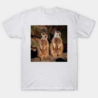 Meerkat 044 T-Shirt